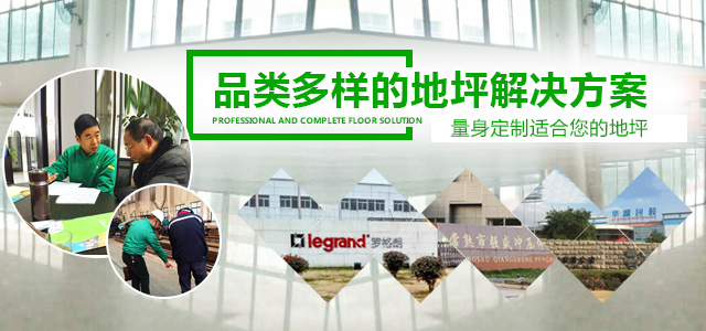 麗固--專業(yè)、齊全的地坪解決方案